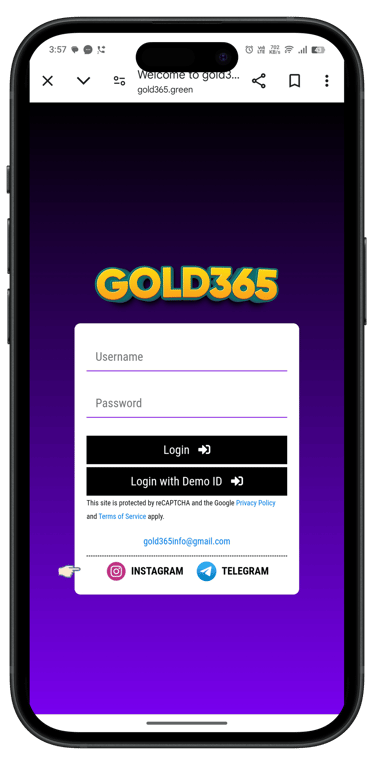 Gold 365
