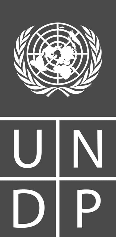 Programa de las Naciones Unidas para el Desarrollo (PNUD)
