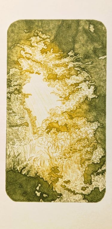 Komorebi gravure tetrapak