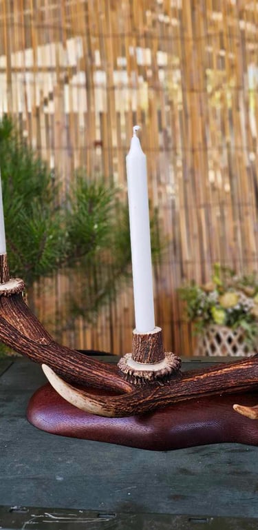 Deer antler candle holder