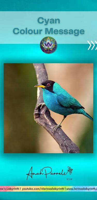 Colour Messenger: Power Of Cyan Blue. Colour Healing; color healing