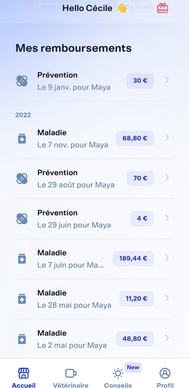 Dalma | 1 mois offert avec le code CECILExMAYA
