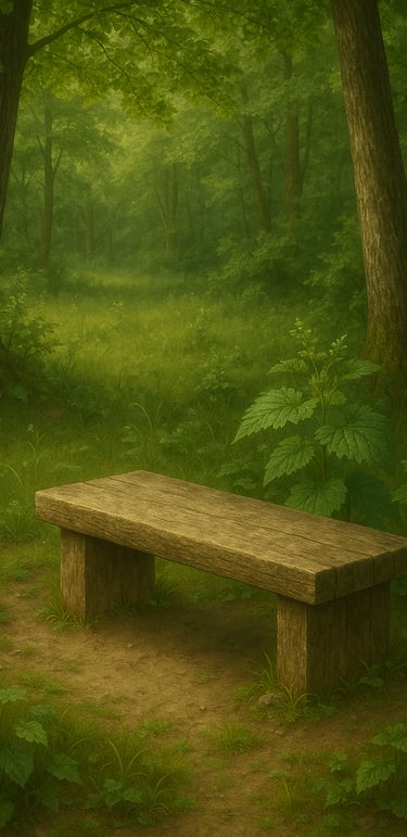 a bench with a wooden bench in the middle of a forest