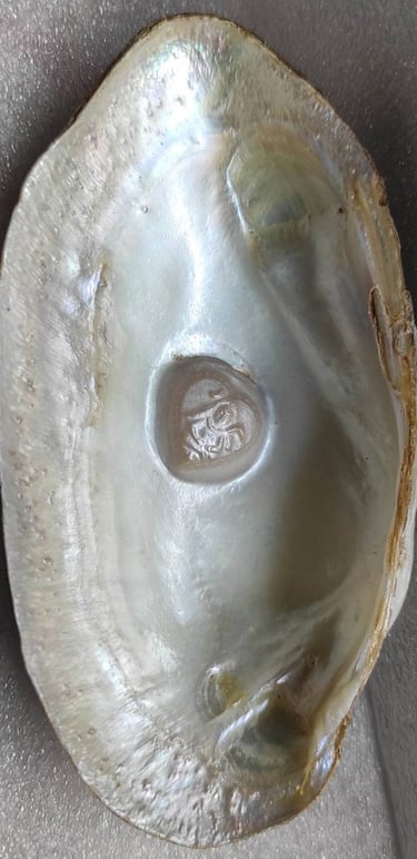 "Approx 11mm white cultured pearl featuring a divine face-using nucleus implantation-for foreign trade"