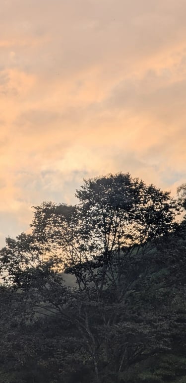Sunsets from the mountains of Santa Marta