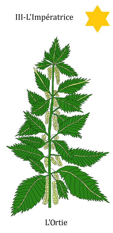 Dessin de la carte de l'impératrice - ortie dans le tarot A Fleurs D'Être