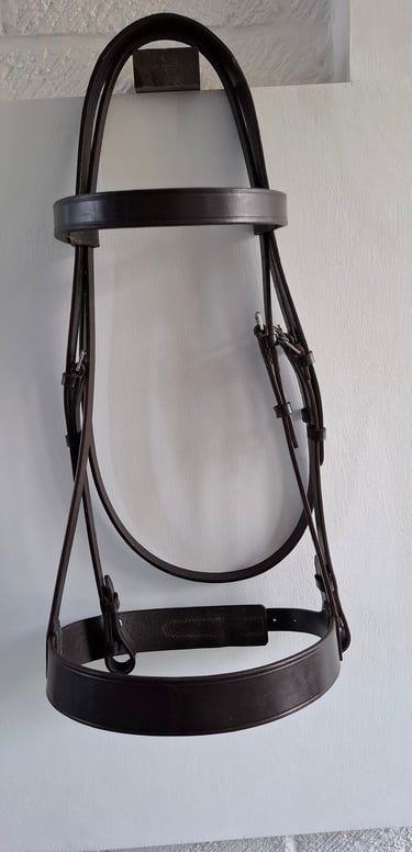 Leather Bridle