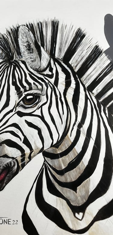 Zebre