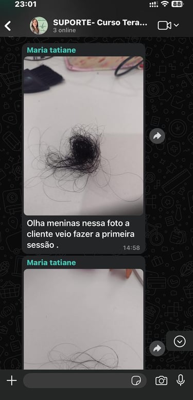 CURSO DE TERAPIA CAPILAR 