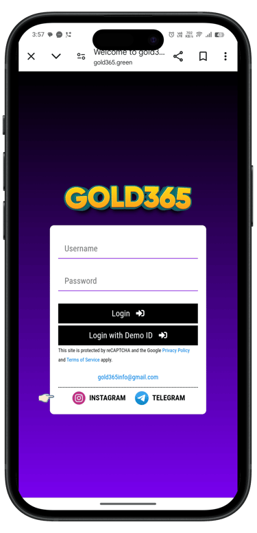 Gold 365