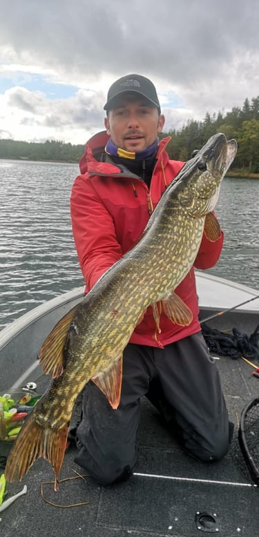 a fisherman is kneeling in a fishing boat in sweden, he caught a pike in sweden, he is happy.