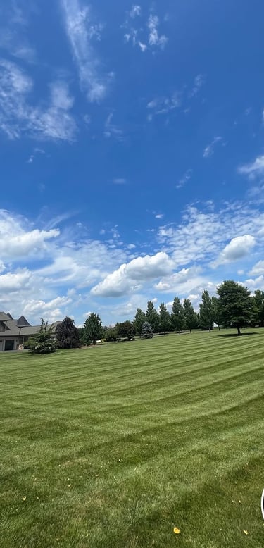 excellent landscaping and hardscaping of grass, stones and trees by NP Landscaping