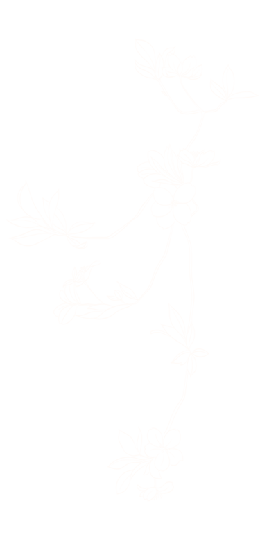 MTC