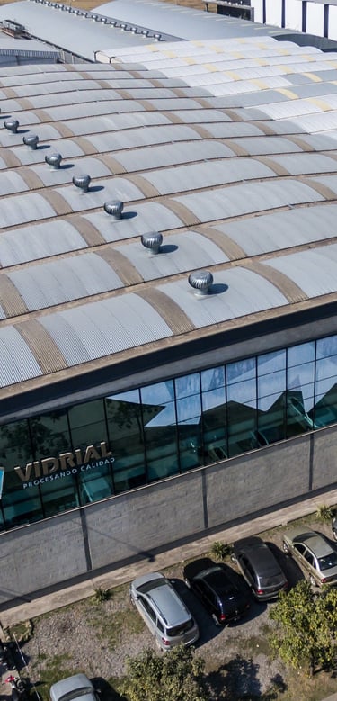 planta vidrial