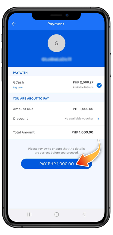 Review your transaction before clicking. If you are sure, you may press the PAY button.