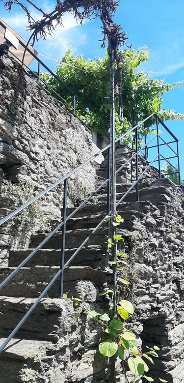 Escalier principal accédant à la terrasse du gîte la Petite Corse à Rosis dans l'Hérault