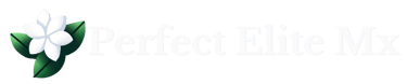 logo horizontal de perfect elite mx con texto
