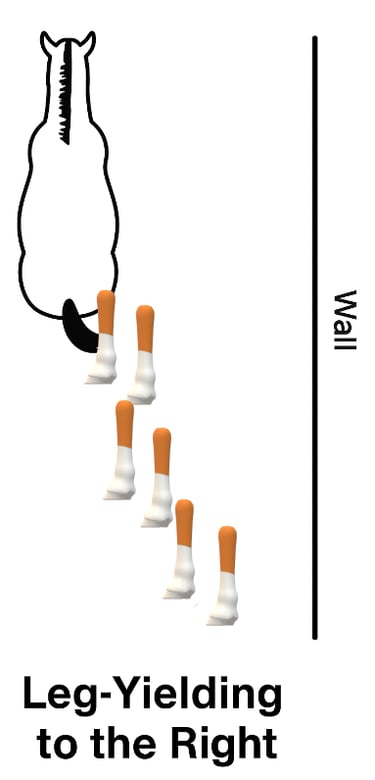 a poster with a picture of a leg yield horse picture
