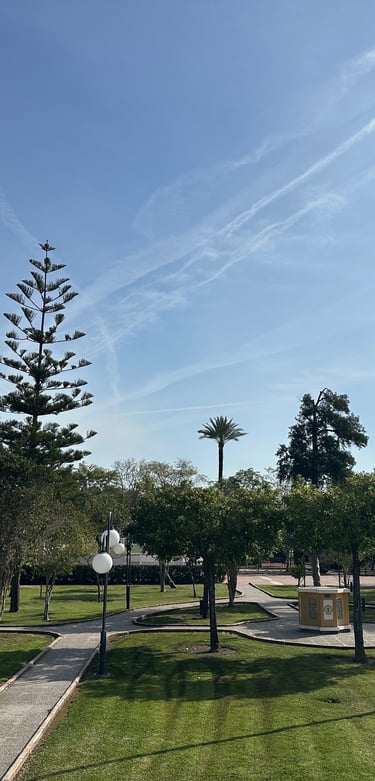 Centro deportivo y social Híspalis, Nado Libre concesionario de las actividades deportivas