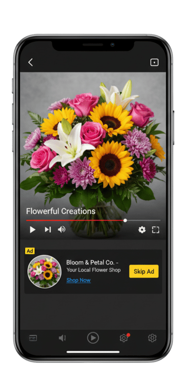 Publicidad en You Tube