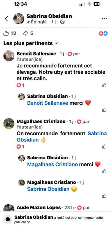 avis chatterie Obsidian cats