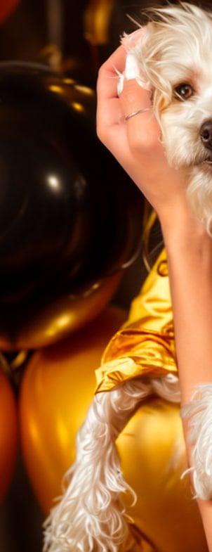 a woman in a dress with a dog in a party