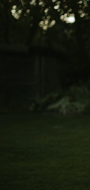 abstraktus tamsiai žalios spalvos gamtos fonas