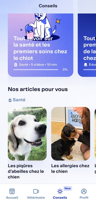 Dalma | 1 mois offert avec le code CECILExMAYA