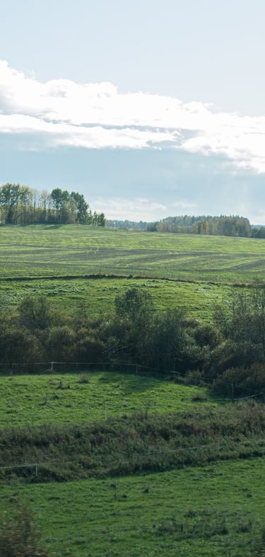 Hevoslaidun 24.09.2025