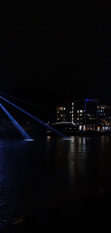 Valonpolku: Sifting Cranes 12.07.2025