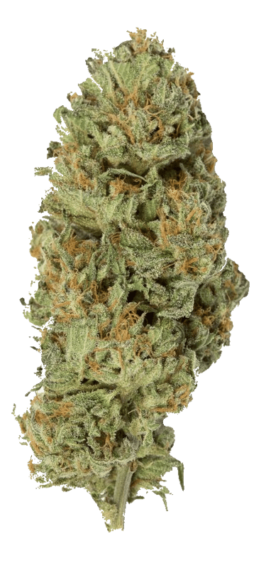 Cannabis in malta