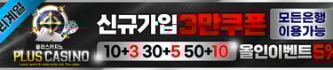 플러스카지노