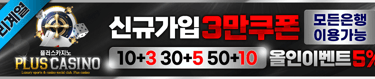 플러스카지노