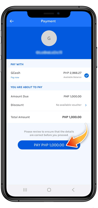 Review your transaction before clicking. If you are sure, you may press the PAY button.
