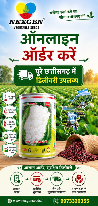 Nexgen vegetable seeds advertisement for online cauliflower seed delivery in Chhattisgarh with high yield features.