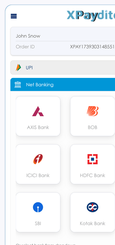 India Payment Solutions