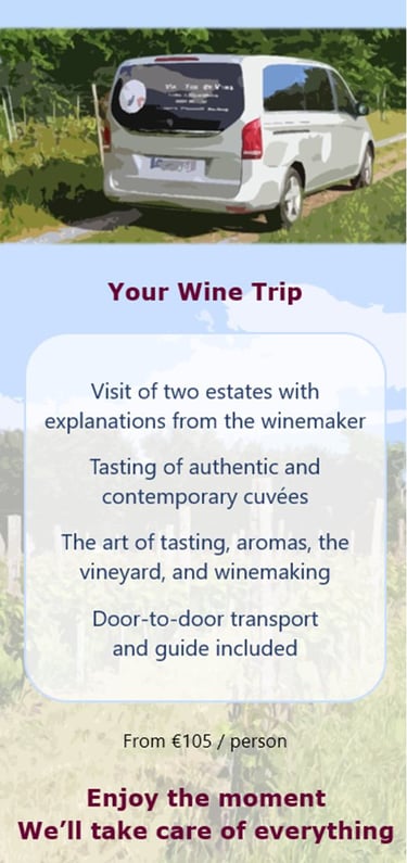 Flyer Wine Trip