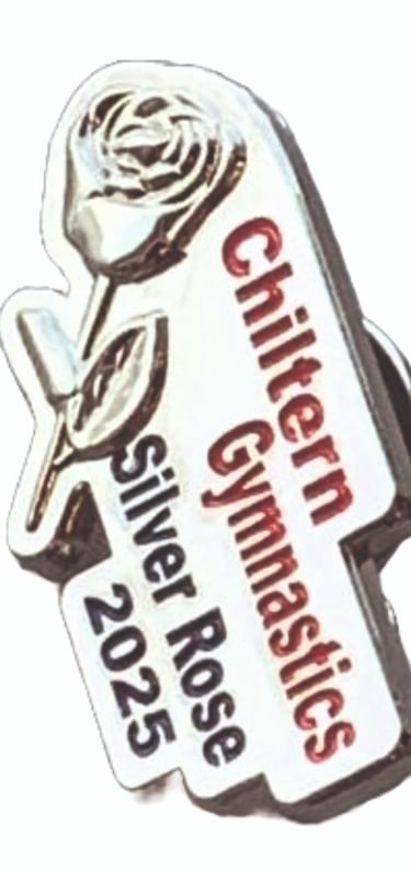 Chiltern Rise 2025 Pin Badge