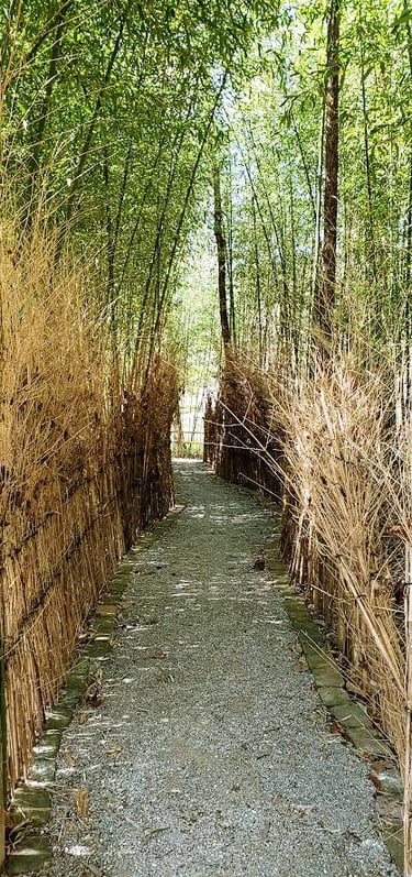 Huntsville, AL - A tall reed tunnel at the Japanese Gardens in Monte Sano Park