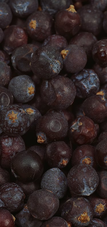 a bunch of juniper are shown in this picture