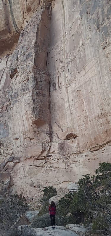 Finn's Footprints Utah Budget Travel Review