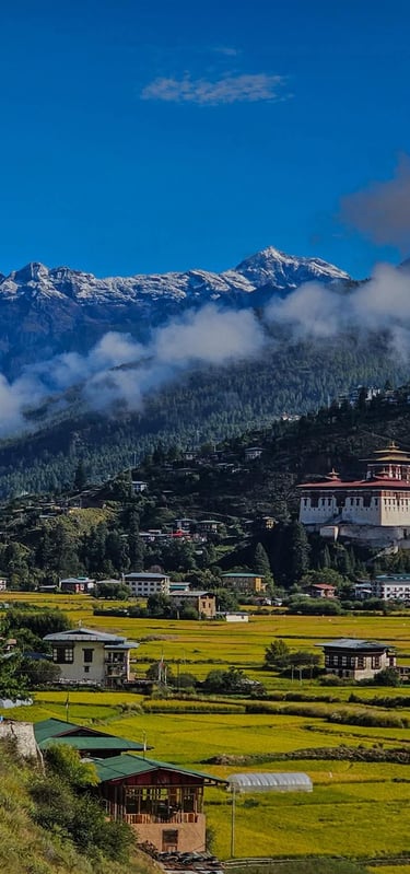 Paro-valley-during-early-spring-season-with-crisp-weather-and-clear-blue-sky