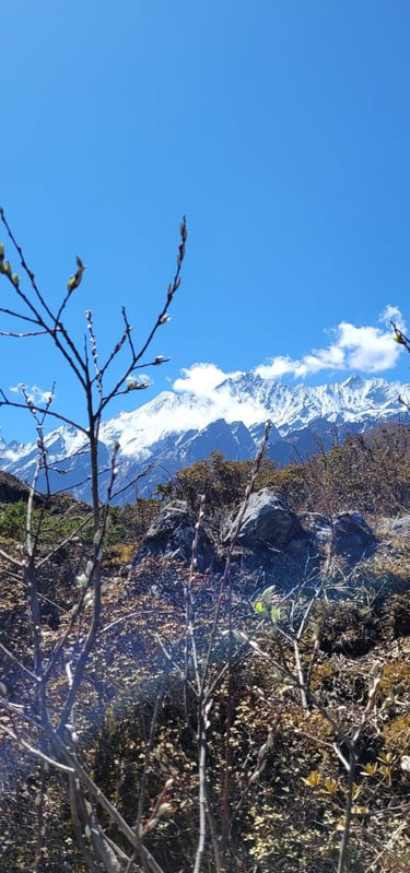 Himalayas, Gosaikunda, Langtang, trekking in nepal, living in nepal, Nepal, Langtang Valley, trek