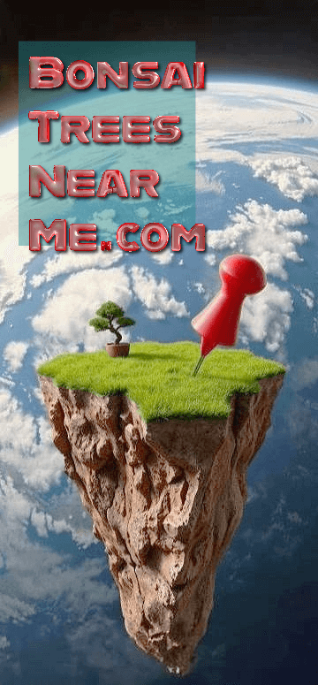Decorative branding image of earth and bonsai tree