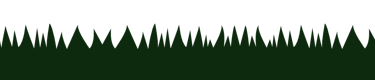 Grass design for use as visual assets in social media posts and advertising