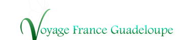 Logo voyage france guadeloupe