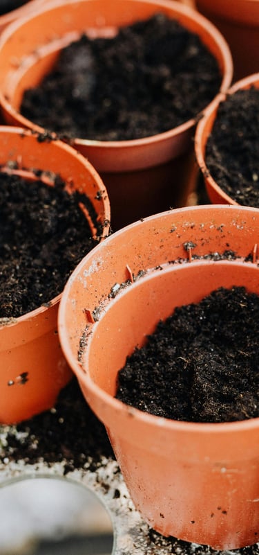 Plastic pots filled with soil