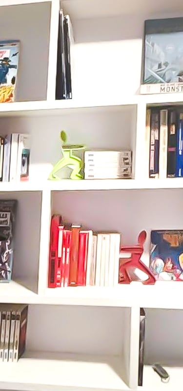 Bibliothèque Shelfi – Levallois-Perret – rendu chaleureux et moderne