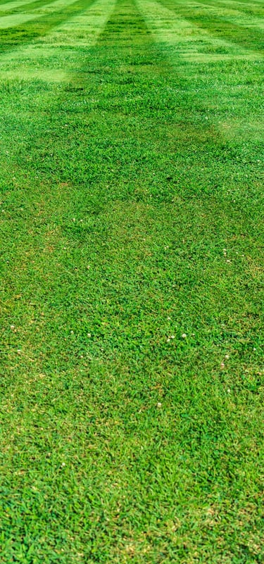 Lawn maintenance in Bridgwater Somerset UK 