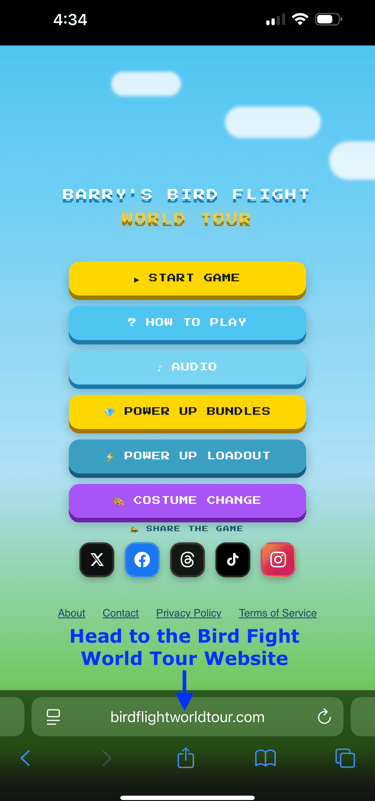 Barry's Bird Flight World Tour pixel art mobile game menu with start and power up buttons.